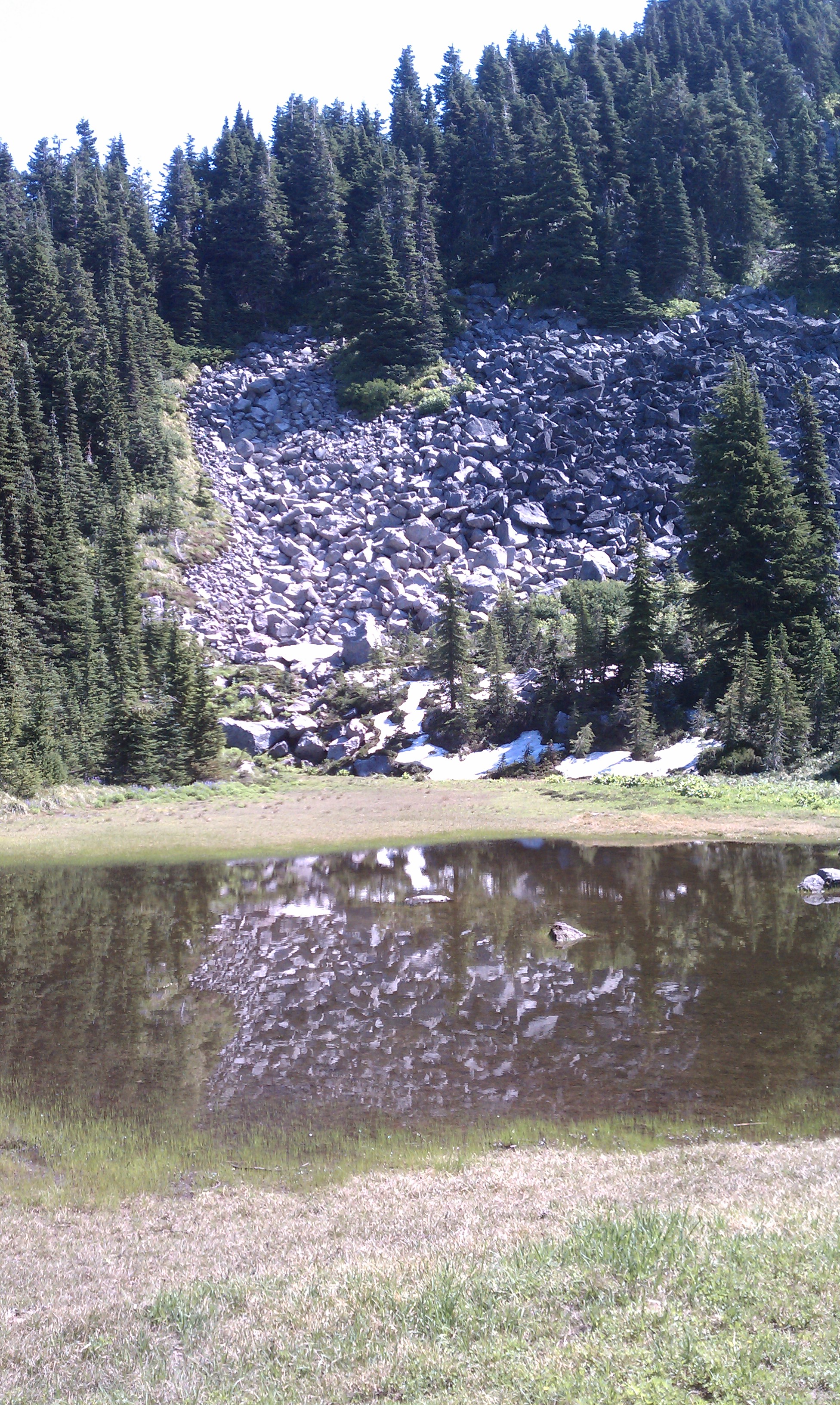 Pond