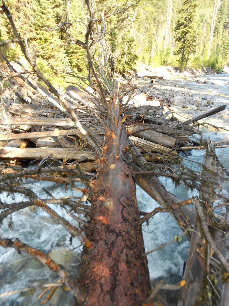 Had to cross this since the USFS removed the Ice Lake Bridge...