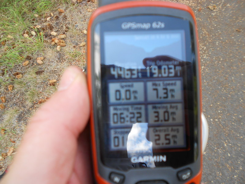 20 miles in the books...