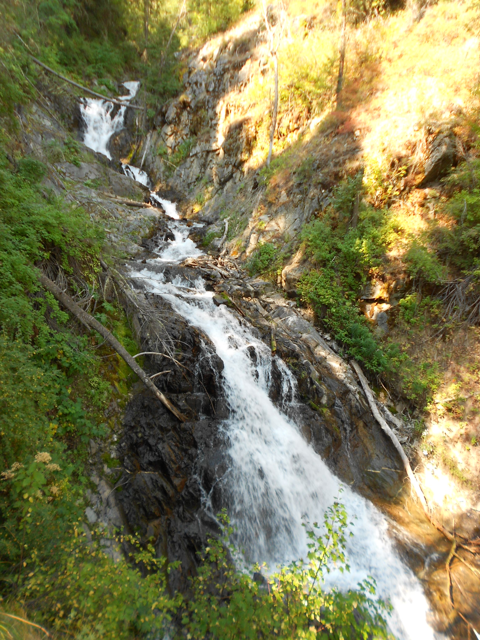 Just up a little ways on BC Creek from washed out bridge on Chief Joseph Trail