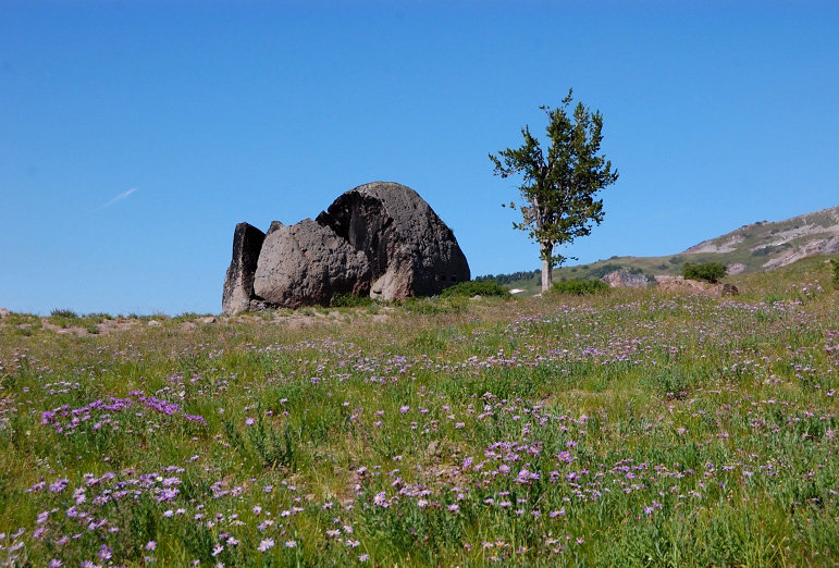 Split Rock and the fields of daisies