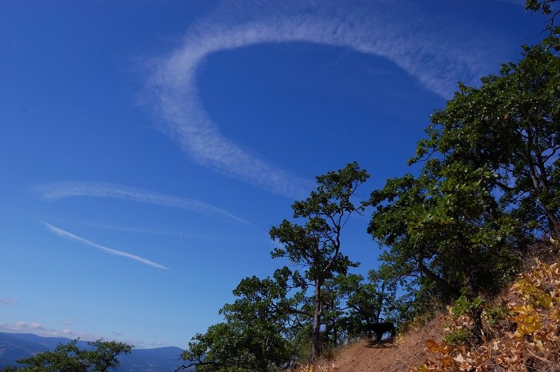 Circles are from planes flying over Dollar Lake fire