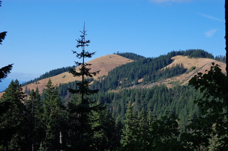 Left summit is Bald Butte, our destination
