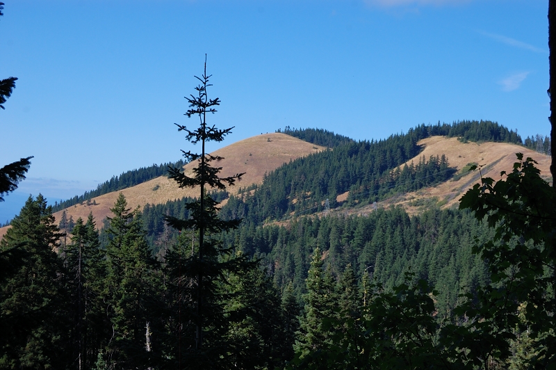 Left summit is Bald Butte, our destination