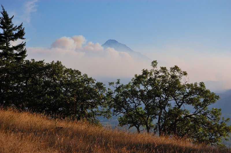 Mt. Smokey