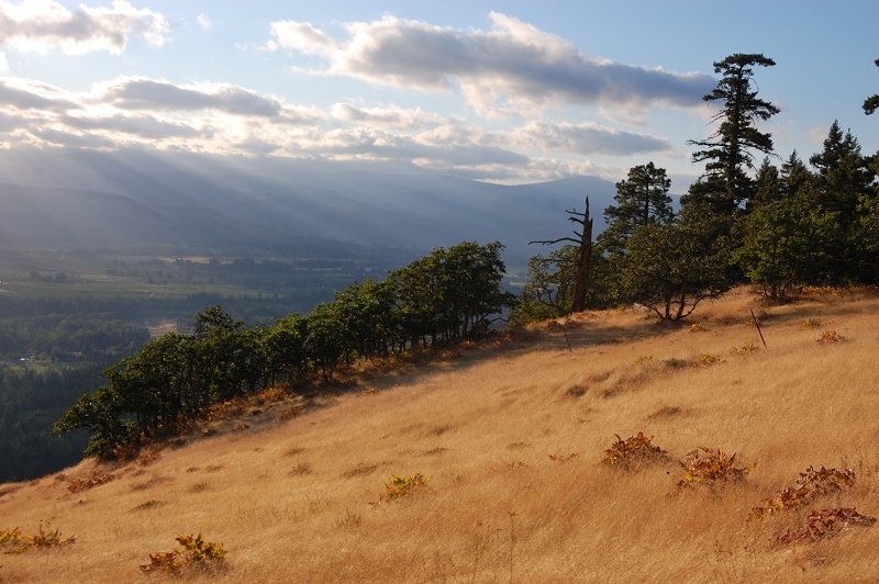 We went through different types of terrain, but I ended up taking most pictures in the middle section of Oak Ridge trail