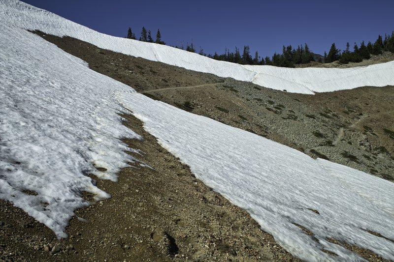 Toward Cispus Pass.