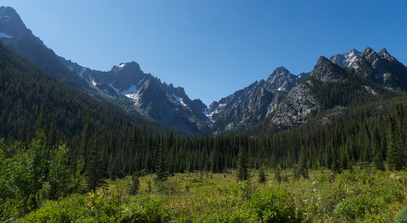 Large meadow