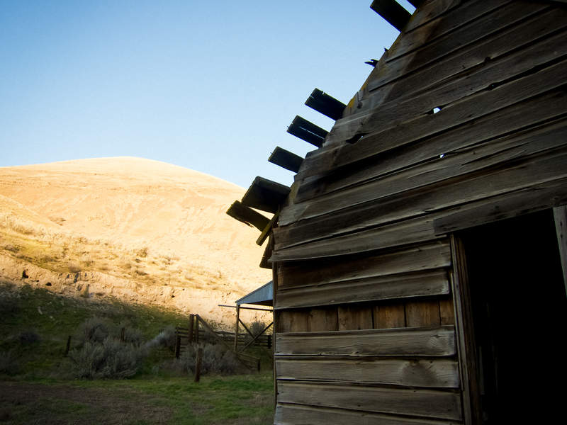 Old homestead