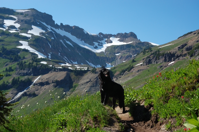 Pepper, just below Goat Lake