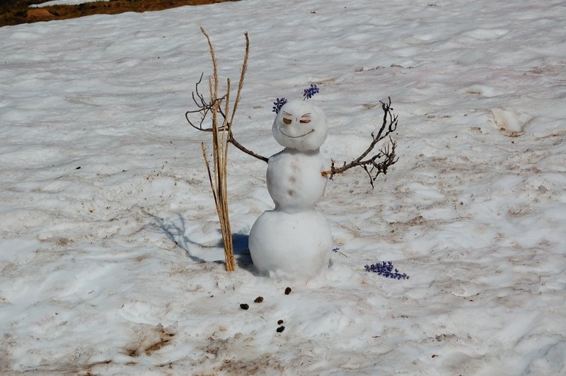 September snowman!