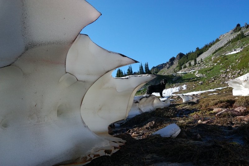 Snow sculptures on the off-trail between Old Snowy and Goat Lake