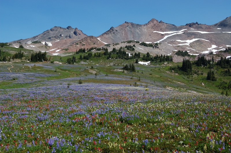 Day 3 - to Snowgrass Flats again!