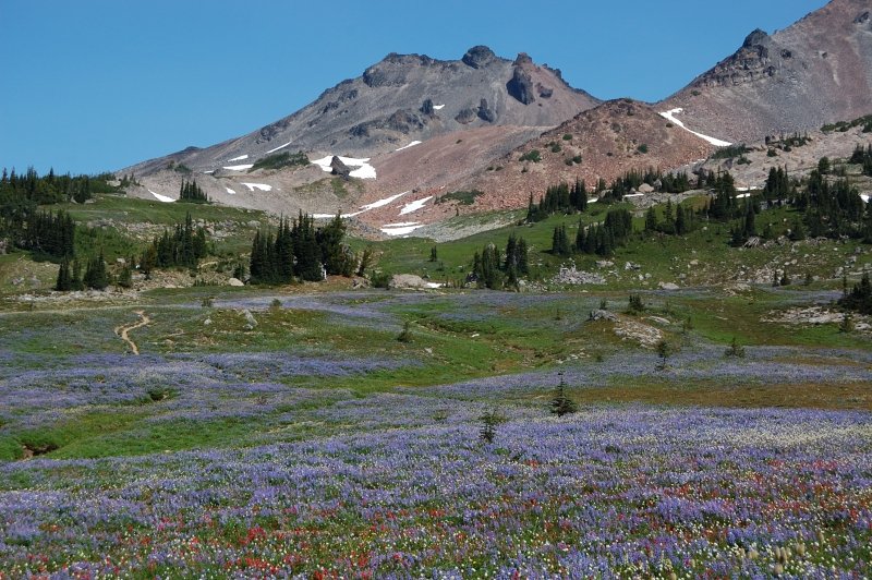 Old Snowy Mtn and Snowgrass Flats
