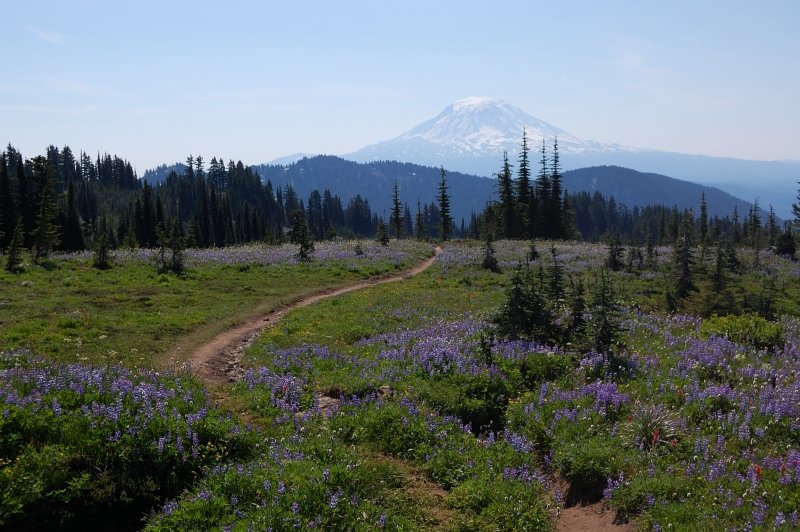 going south on PCT