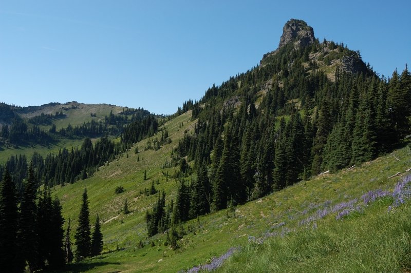 The next basin surprises with its greenery