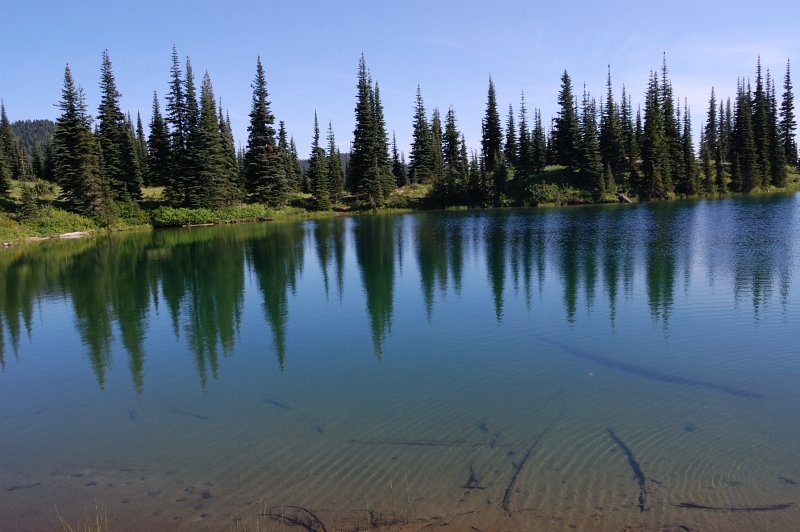 Sheep Lake