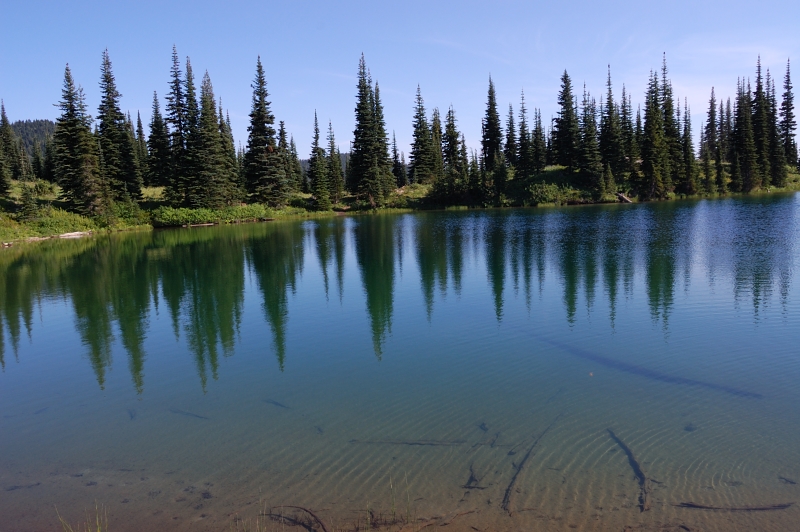 Sheep Lake