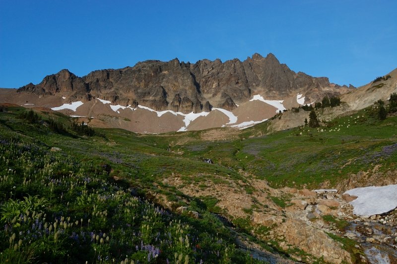 You can see the goats as white spots on the right