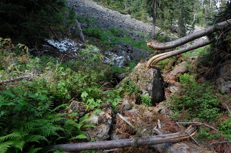 Avalanche debris near Goat Creek