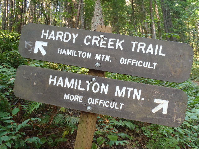 I wanted to use the easier trail but...