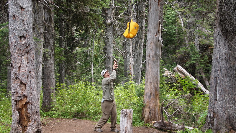 First time setting up a bear bag
