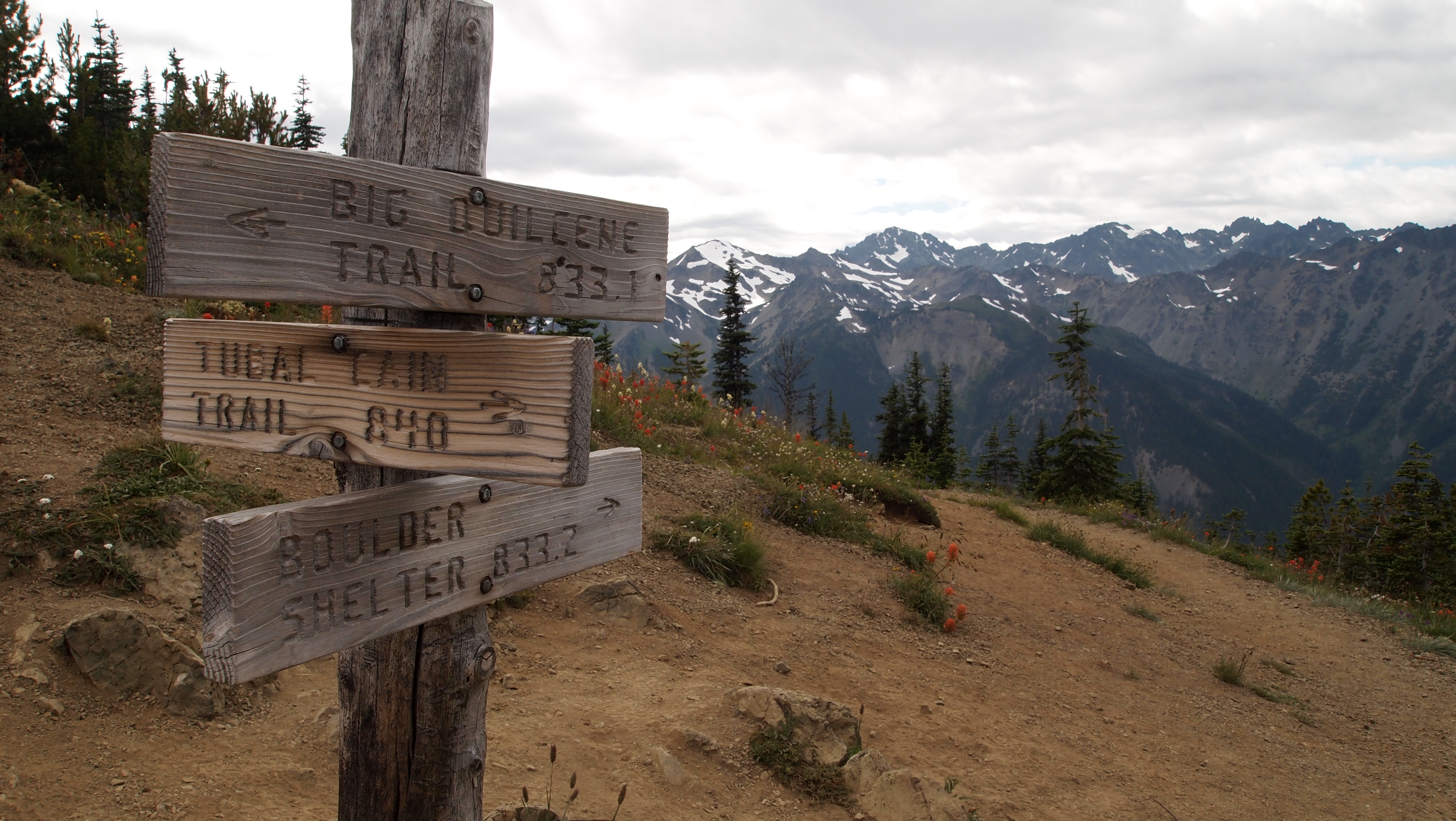View from Marmot Pass