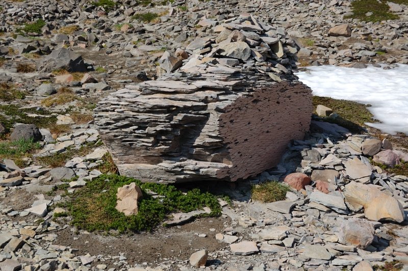 It was a discussion on PH what cut this rock, but no logical answer.