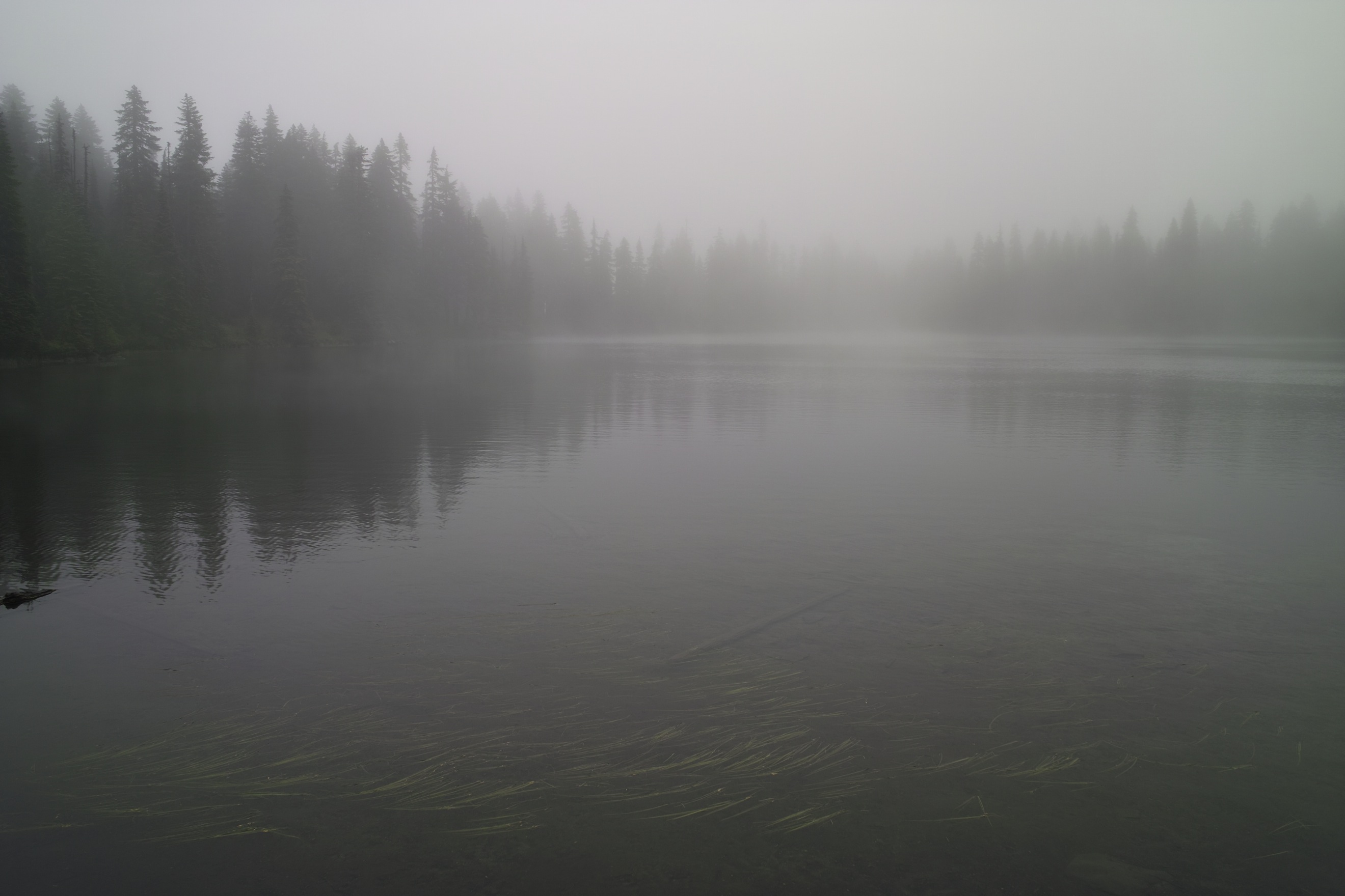 Deep Lake. All the lakes were fogged in like this today.