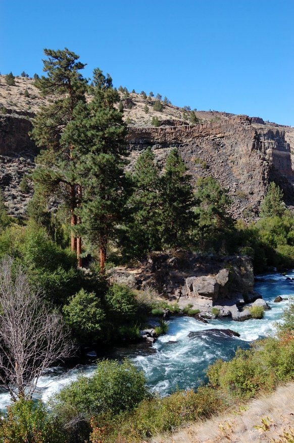 Last time we saw hikers camping under those pines on the other side of the river. This time I checked the river and it's deep and fast - wonder if they got there from other trailhead