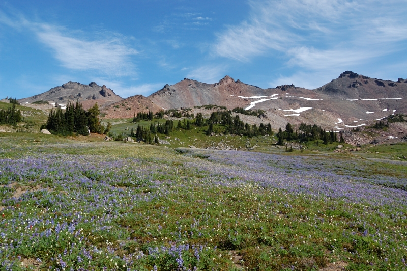 Meadows still nice
