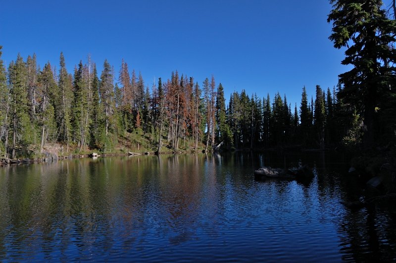 Bluff Lake, 1/2 miles from Bird Lake