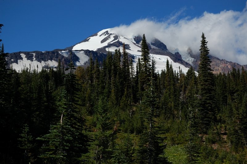 Mt. Adams from Bird Creek Meadows