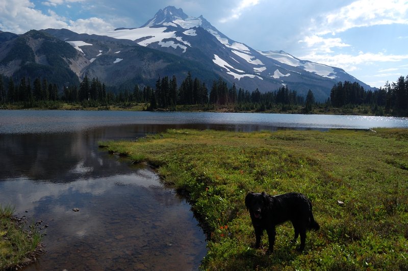 Pepper, at Russell Lake