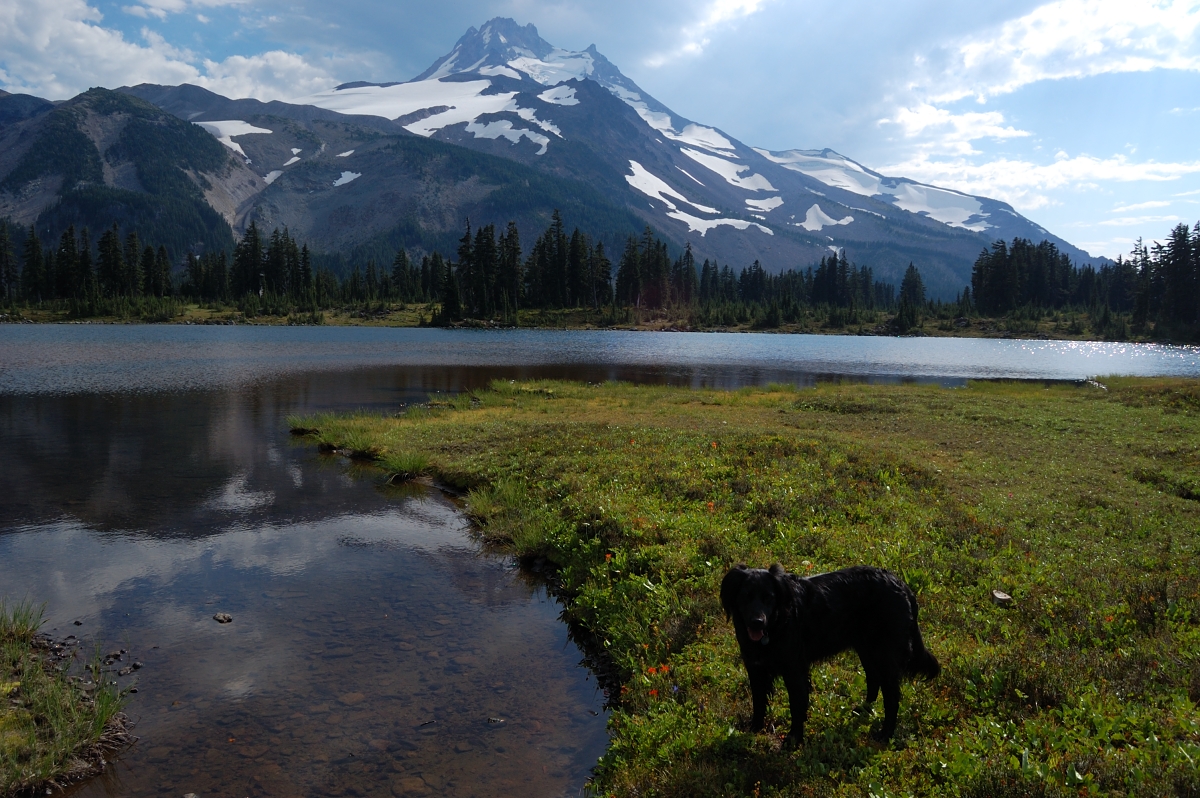 Pepper, at Russell Lake