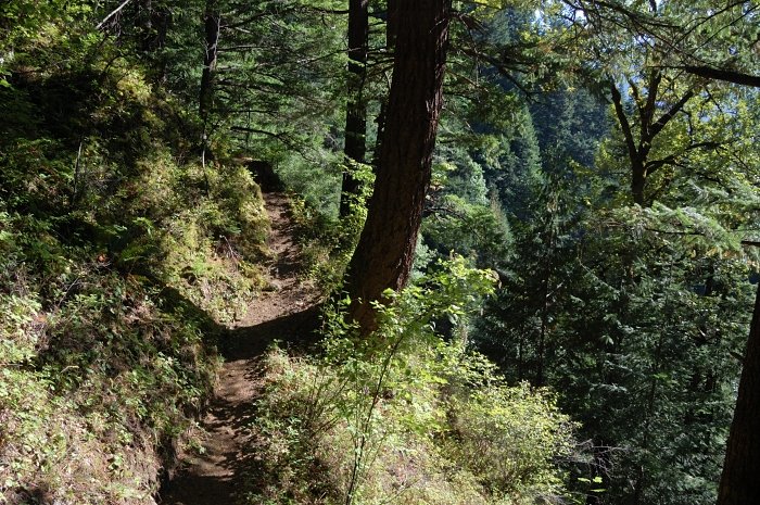 One of the trails north of Cedar Creek
