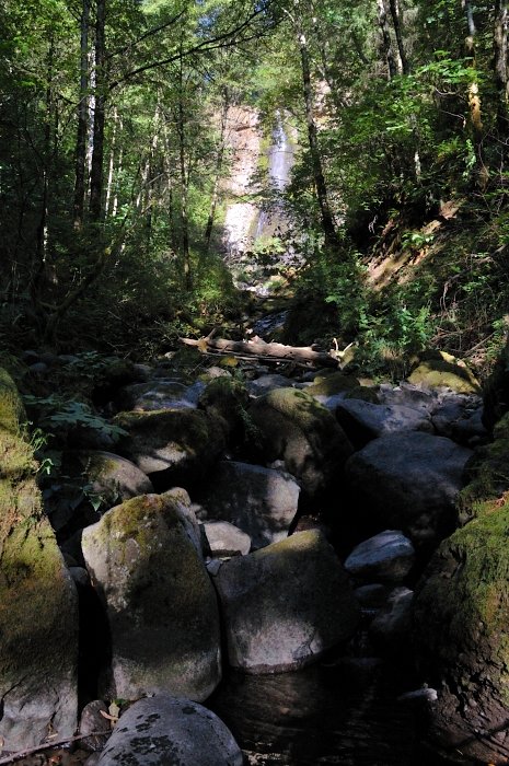 Falls become visible through trees