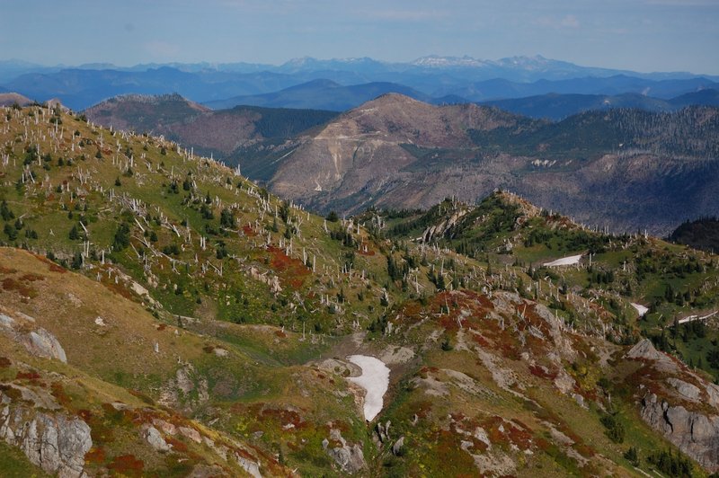 Goat Rocks can be seen on far background