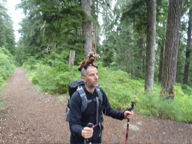 Close up on Mayhem's antlers