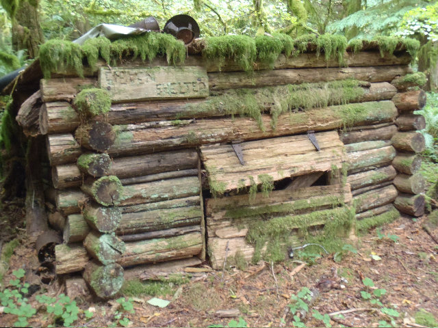 Steven Shelter after some more hunt and peck action, cabin 1 on Russ Jolley Trail