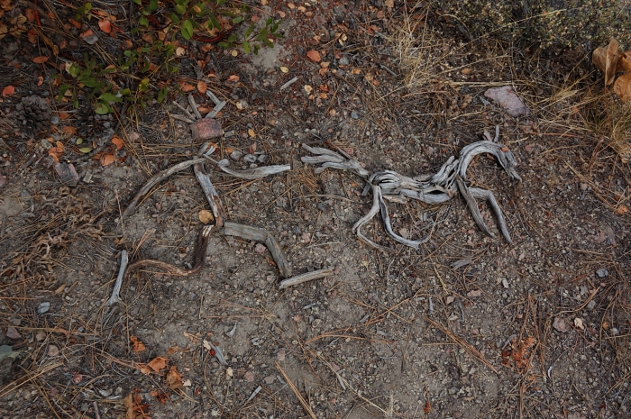Trailside art