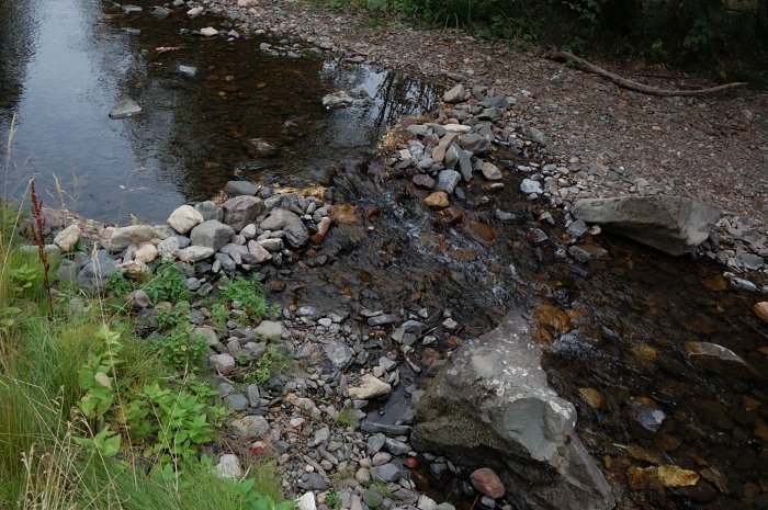 The creek is down to a step across in places, quite a difference from a few months ago