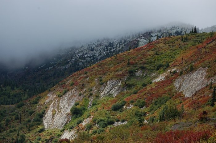 You can see the snow on the hill @ background