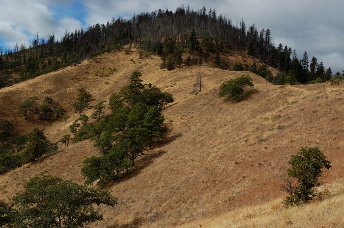 View of Ball Point from the 1/2 mile into the hike