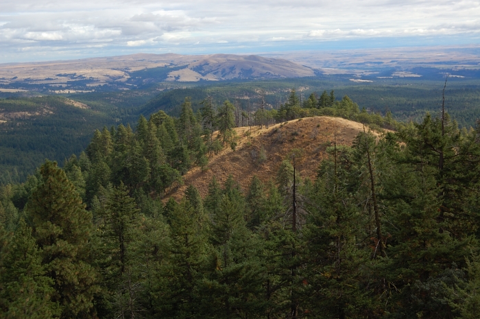 Looking east
