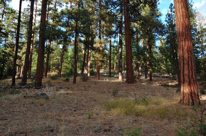 We went about half mile off-trail between the two trailheads