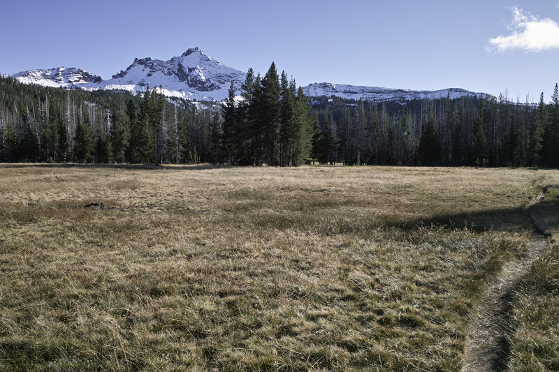 Park Meadow