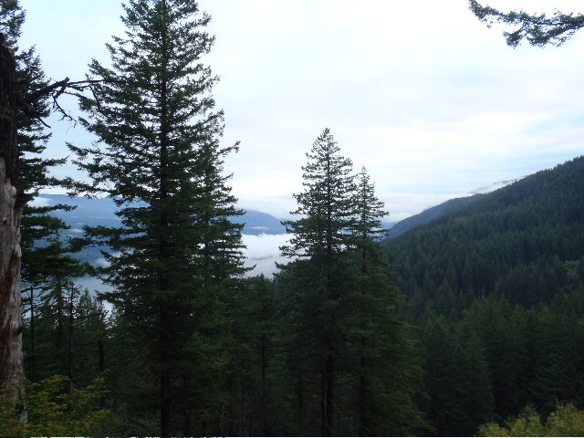 On the way to Angels Rest....