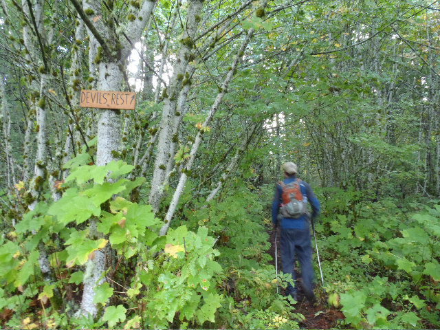 Used a feeder trail to Foxglove from the Angels Rest area