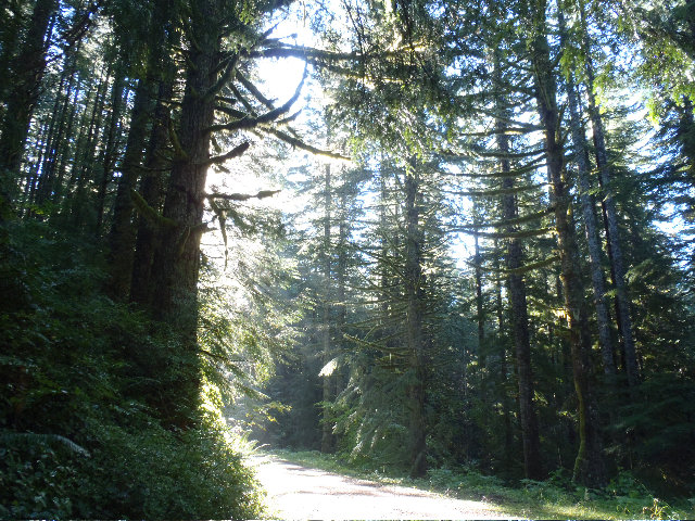 Multnmah Basin Road for a short while